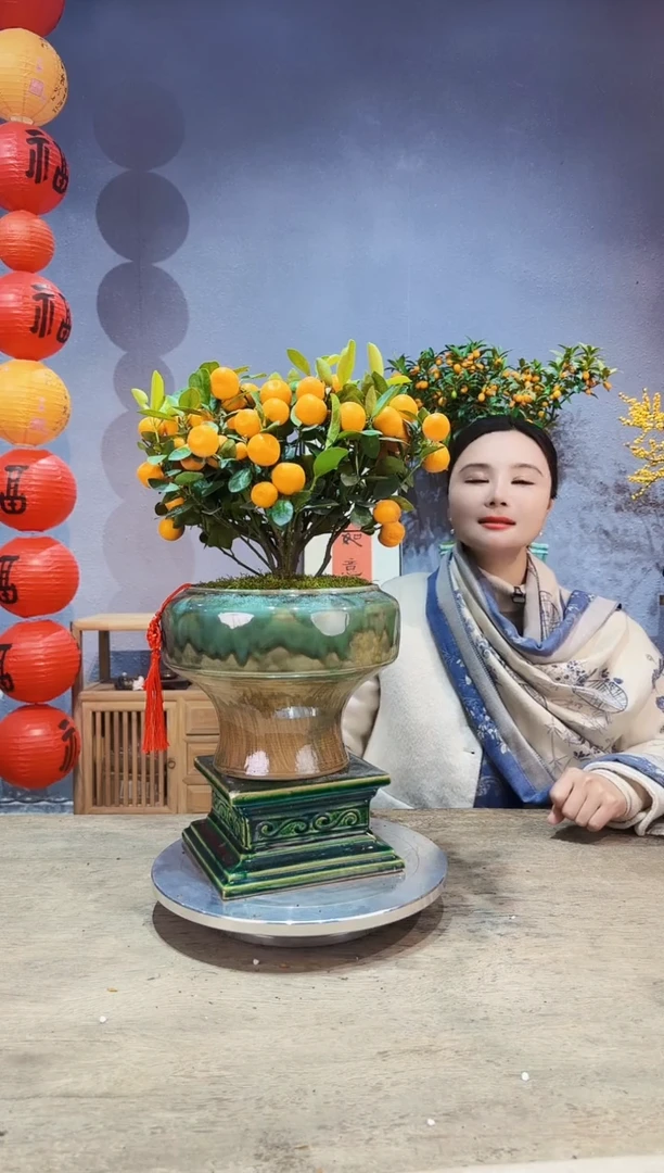 【闪购商品】盆景年桔