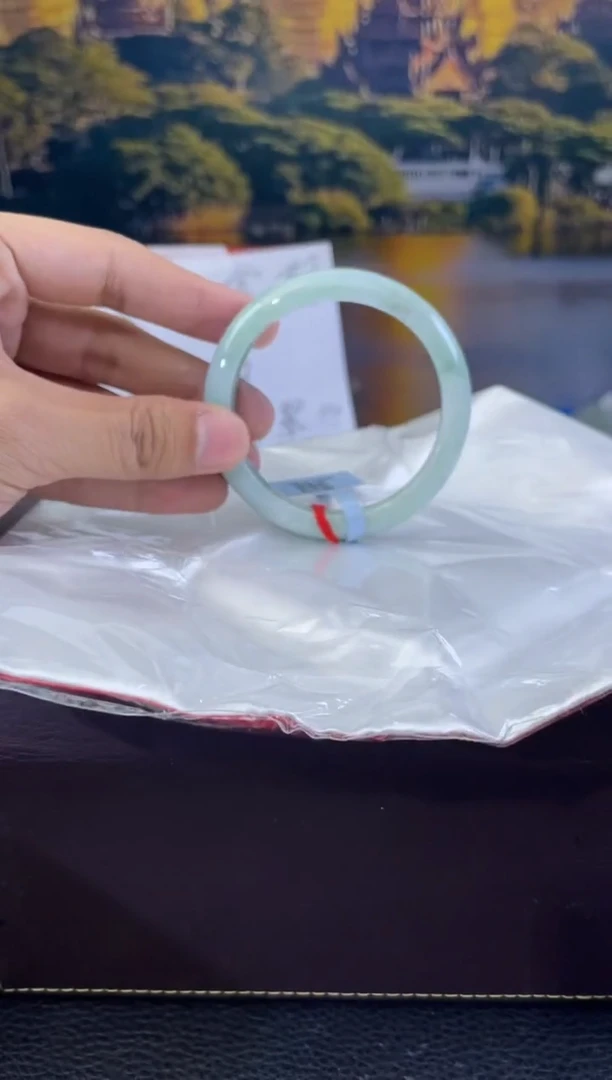 未镶嵌手镯翡翠7