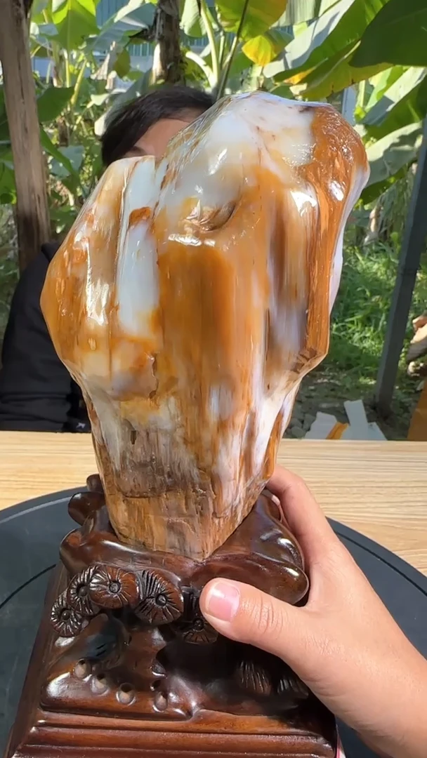 【闪购商品】硅化玉珠宝奇石未镶嵌拍一发一