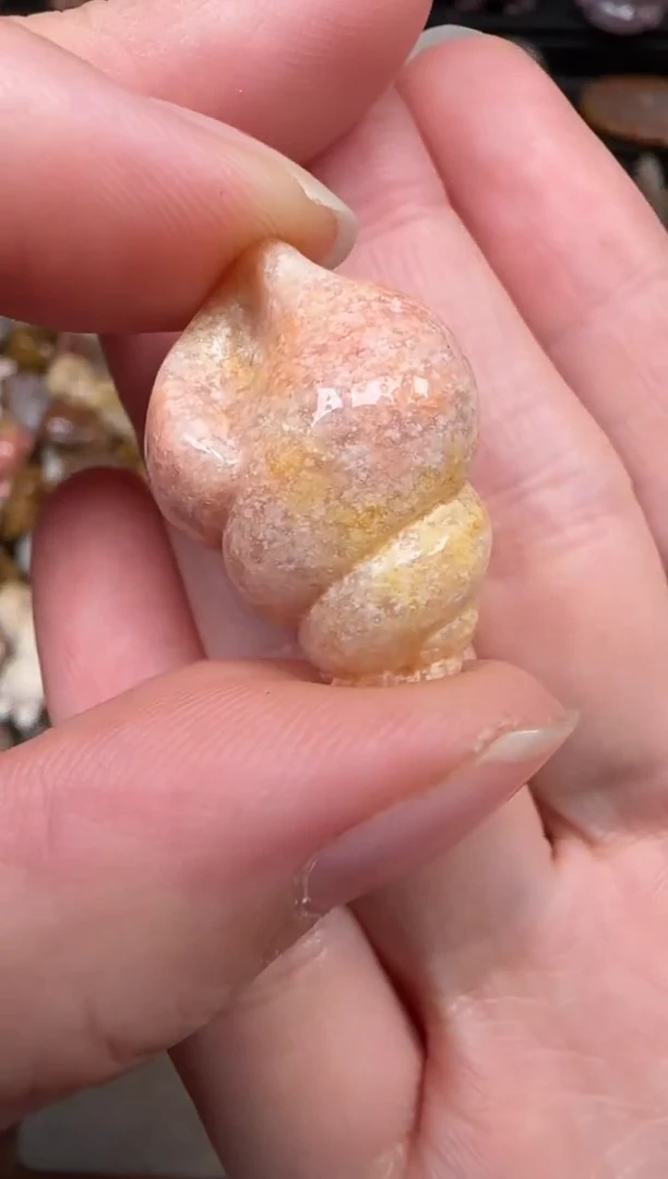 颈饰未镶嵌硅化珊瑚（珊瑚玉）205