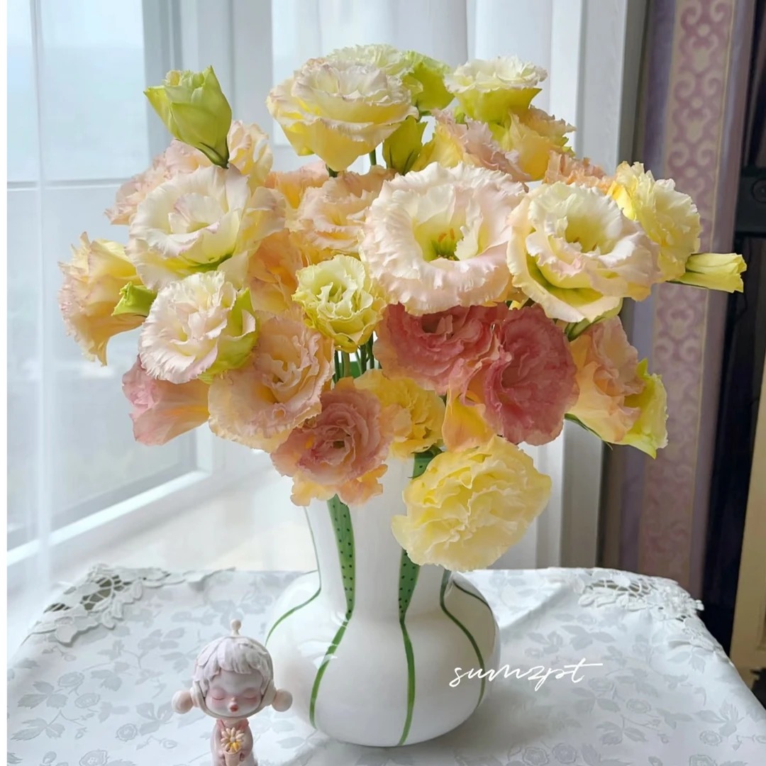 【香槟洋桔梗】年宵花水养礼物【楚楚】排单发货，不保证年前到货