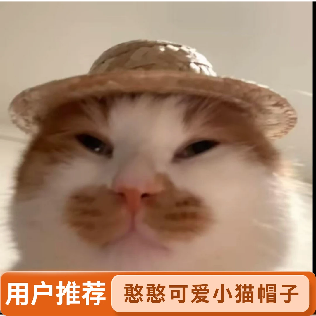 草帽夏季农夫帽子猫咪可爱小草帽宠物用品遮阳帽子麦秆草帽爆款