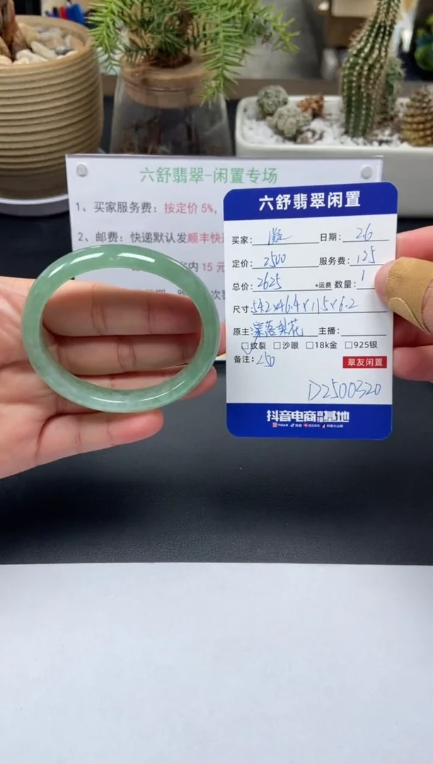【闪购商品】翡翠手镯未镶嵌D2500320