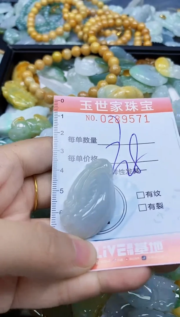 翡翠未镶嵌颈饰闪购0289571