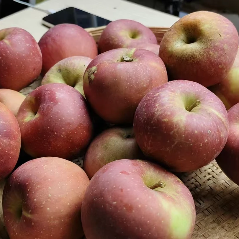 8斤丑苹果中果 外观丑凹凸不平不圆 有黑点但口感好