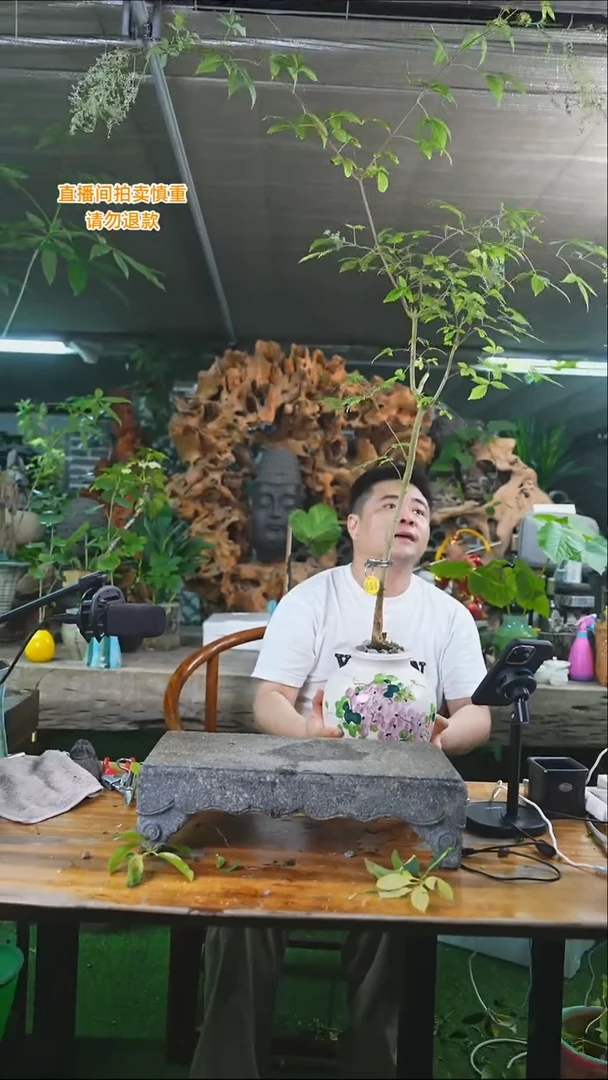 完全开放黄荆554+