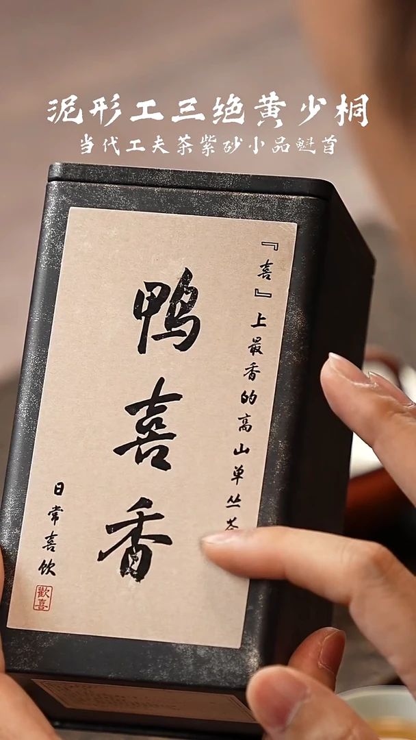 茶壶紫砂鸭屎香茶叶