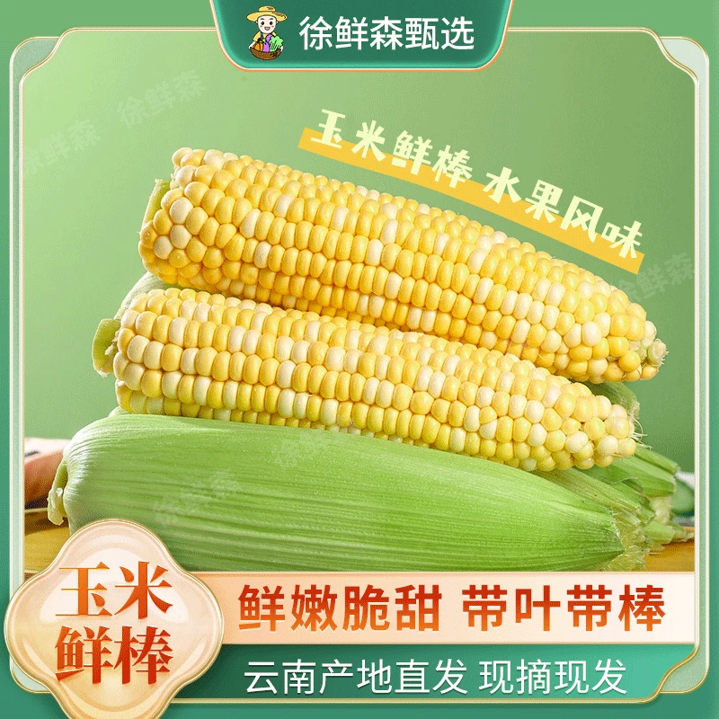 【产地严选】云南金银水果玉米甜玉米新鲜饱满脆嫩多汁早餐新鲜采摘