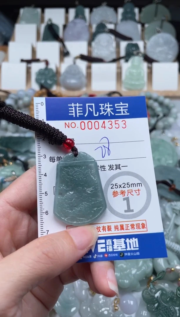 翡翠未镶嵌颈饰00..4353