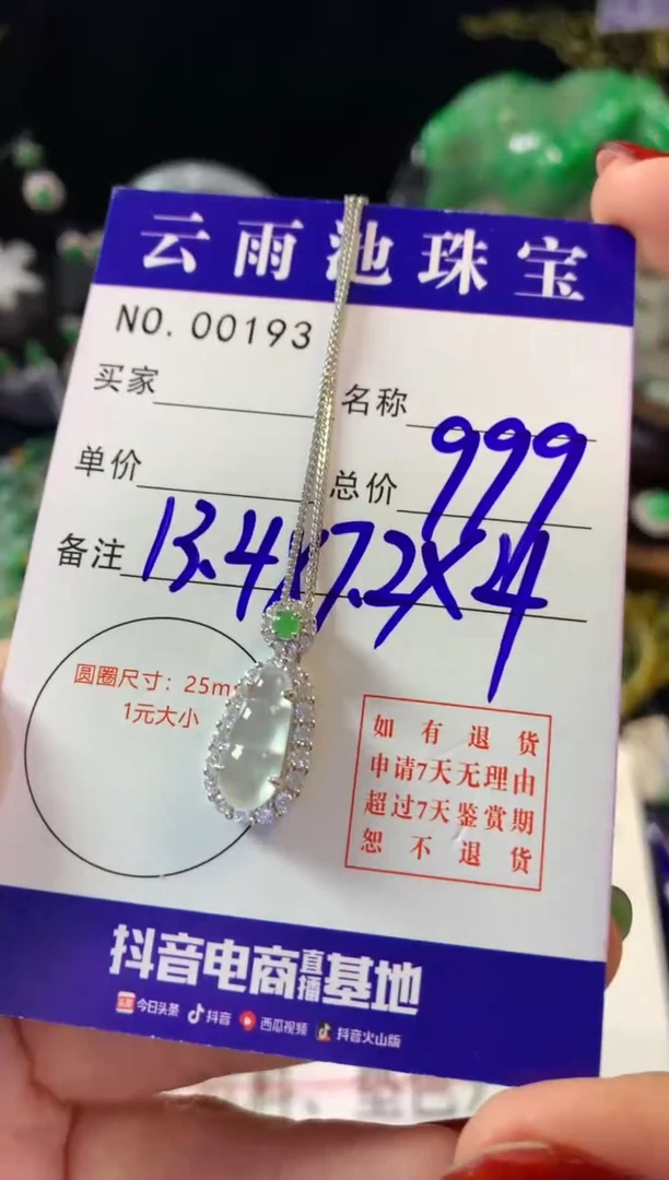 翡翠银S925镶嵌颈饰翡翠