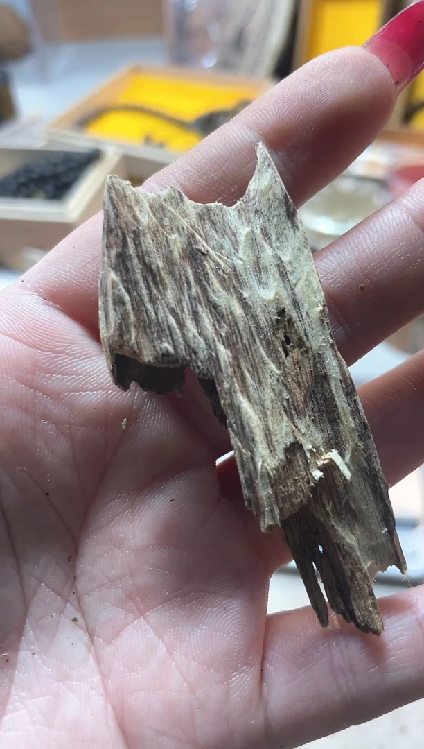 【闪购商品】瓷片000000000000000