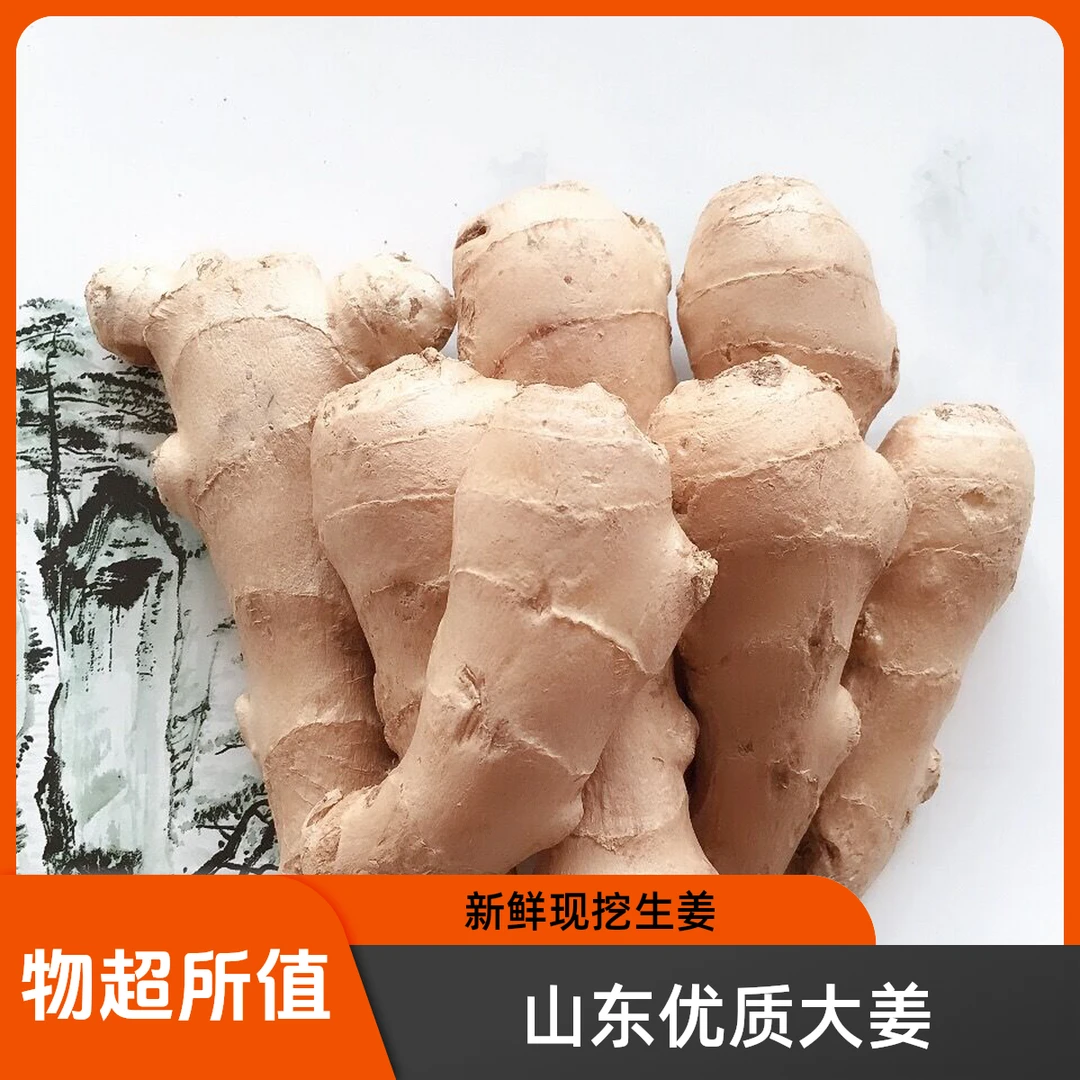 山东大姜老姜养生姜饭店用姜姜块无硫熏碎姜块