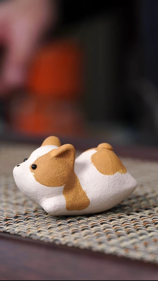 原矿茶宠小柯基