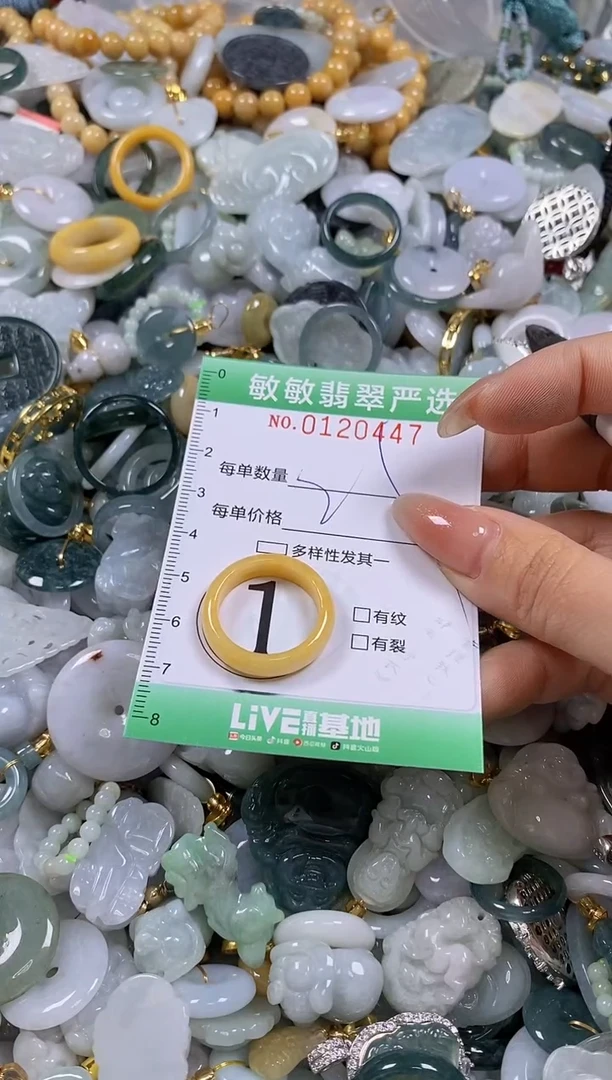 【闪购商品】翡翠颈饰未镶嵌闪购0120447