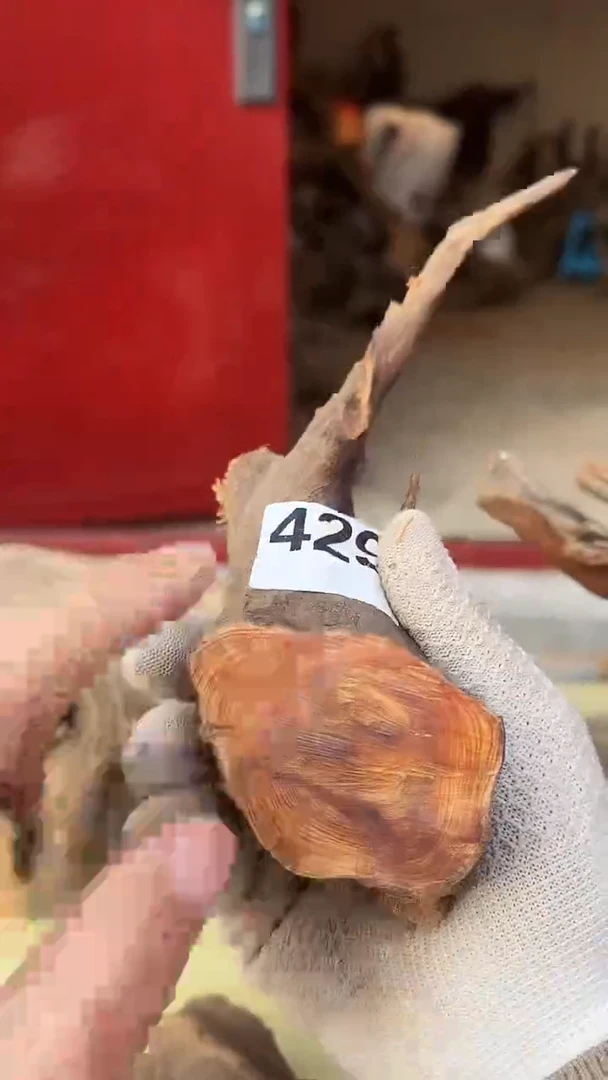 柏木（崖柏）太行陈化崖柏切片！随机一片！（1单1片）429