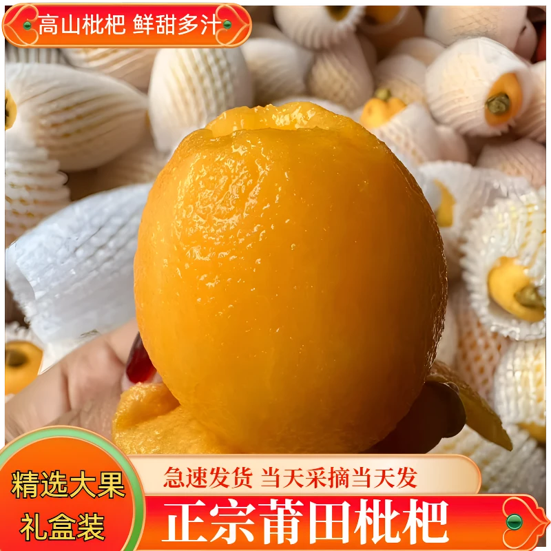 卢燕娟莆田枇杷精选礼盒转5斤10斤顺丰包邮