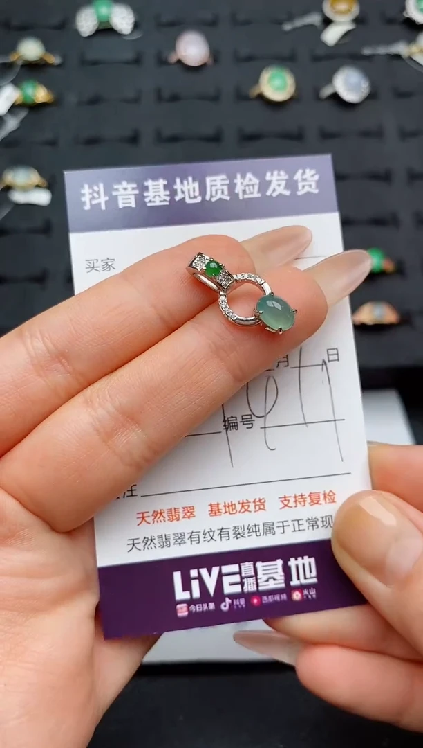 翡翠银S925镶嵌颈饰...........