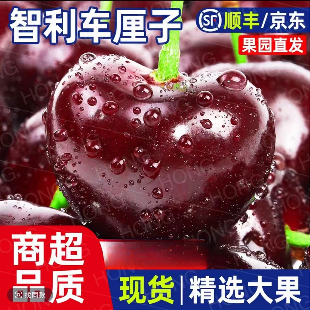 3-4JDD黑车加大 五斤原箱【今天拍明天到】FG智利海运车厘子新鲜水果孕妇水果 内附果径卡桑提娜樱桃智利共和国