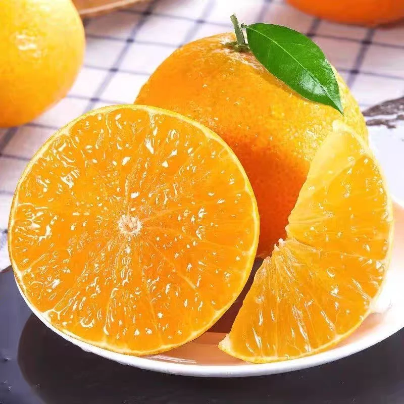 【京东包邮】五斤江西井冈山爱媛果冻橙整箱手剥橙当季新鲜水果橙子