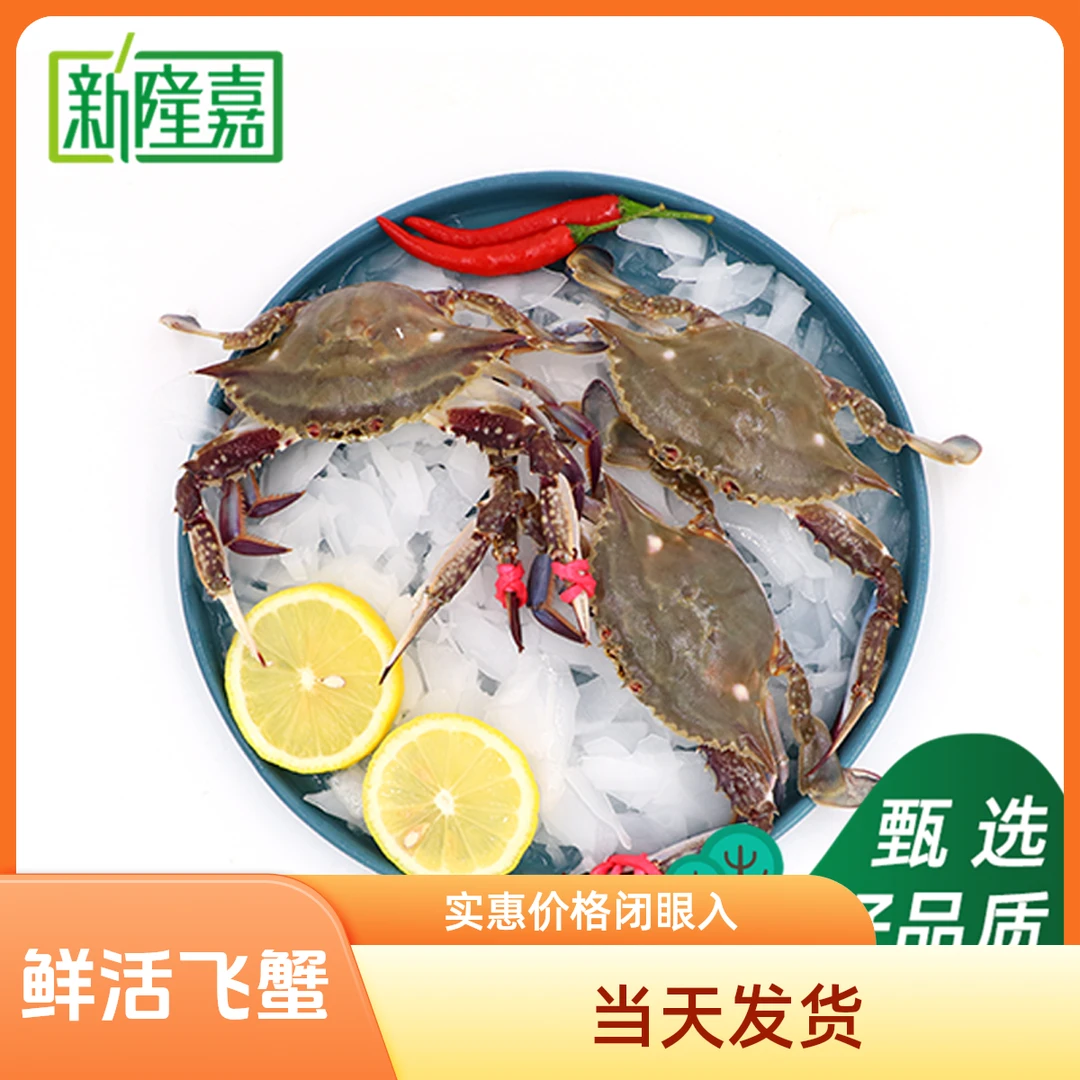 【鲜活】东港飞蟹（保鲜不保活）所有商品带皮套称重，介意勿拍