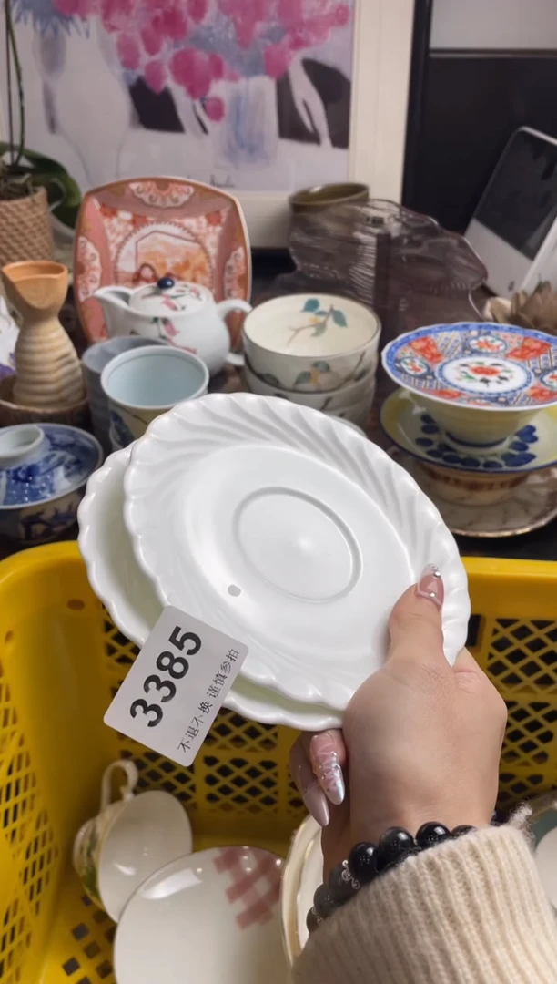 【闪购商品】瓷片yjyjhftjfyj254