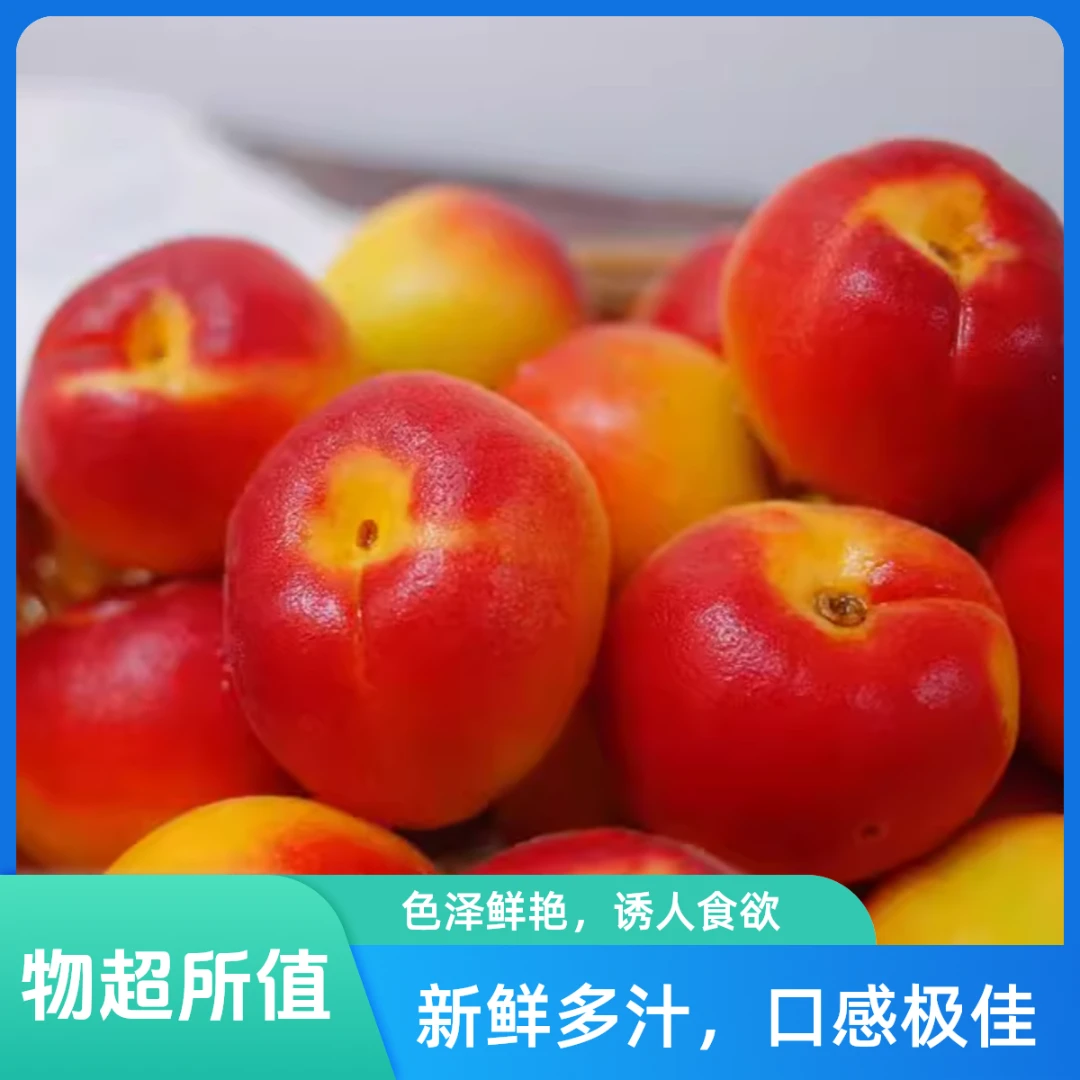 新疆Ying Tao 杏 口感清脆香甜 500g/斤新疆维吾尔自治区