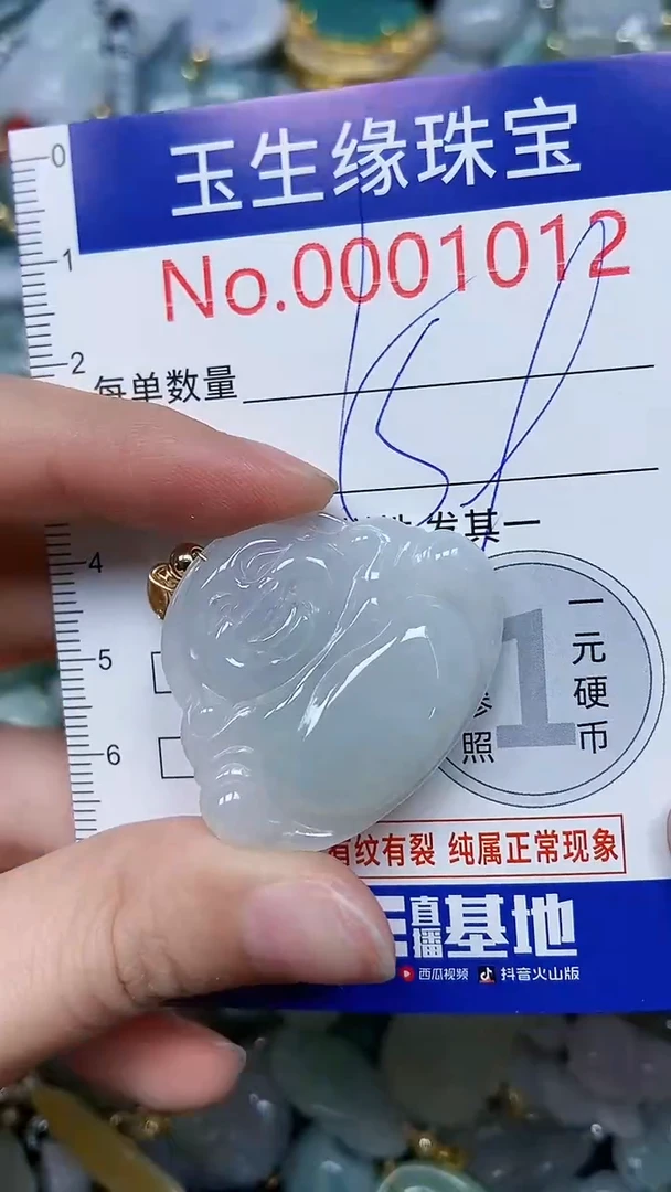 【闪购商品】翡翠颈饰未镶嵌闪购00001012