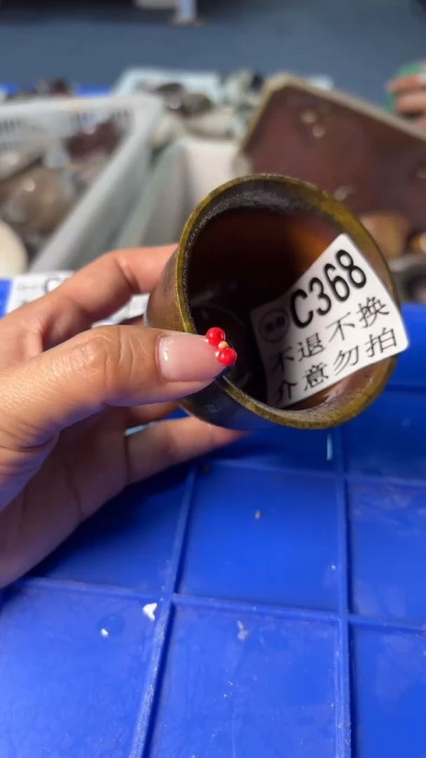 小龙堂不退不换368