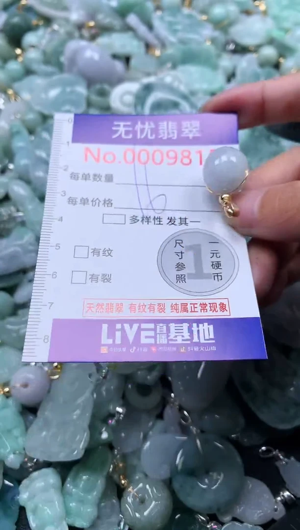 颈饰未镶嵌翡翠9815