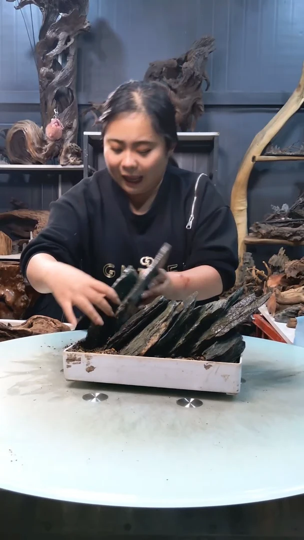 564清香阁清香阁清香阁