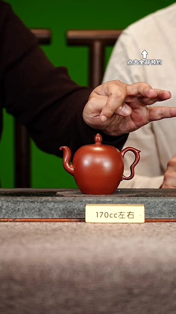 宜兴紫砂茶壶茶壶53