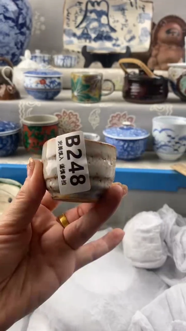 【闪购商品】248