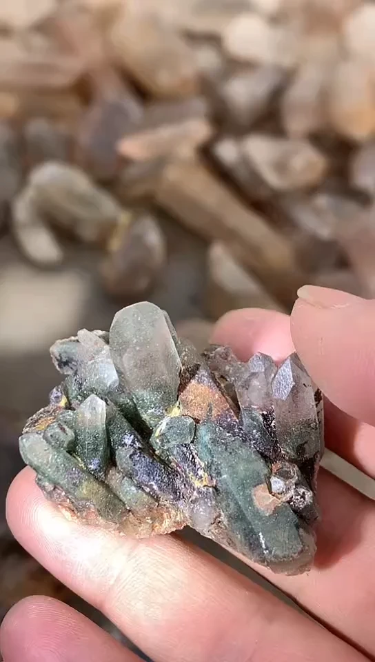 【闪购商品】水晶，未镶嵌凤仙，水晶