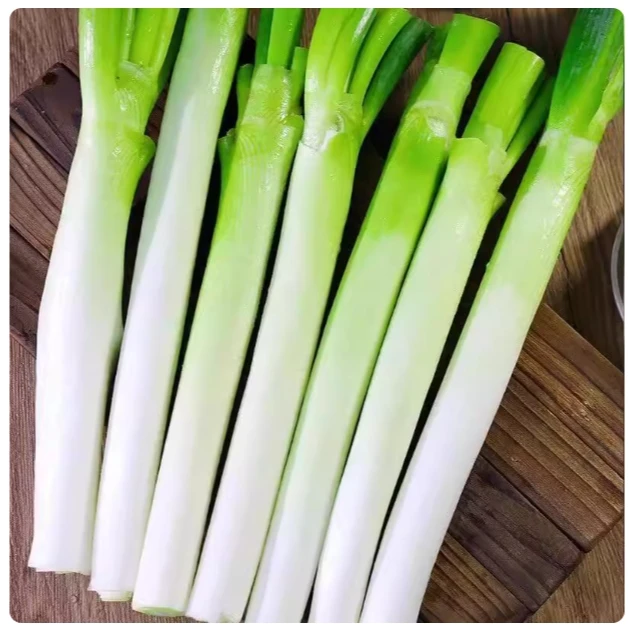 新鲜大葱铁杆长葱约200g其他