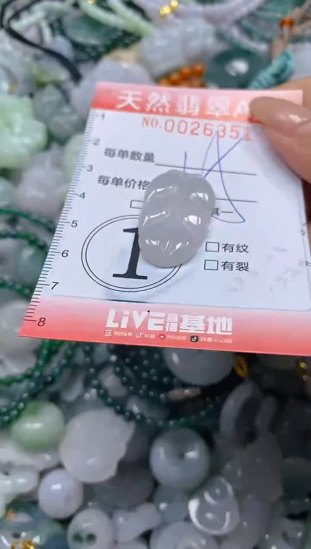 翡翠未镶嵌颈饰闪购0026351