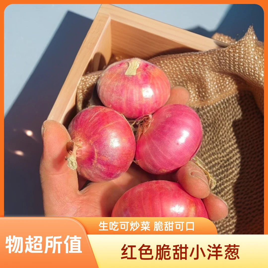 【农家迷你小洋葱】水果洋葱现挖现发脆甜小洋葱脆甜可炒菜当季蔬菜