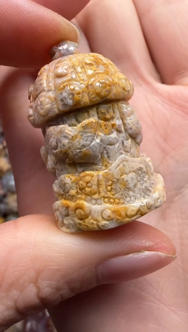 【闪购商品】硅化珊瑚（珊瑚玉）颈饰未镶嵌206