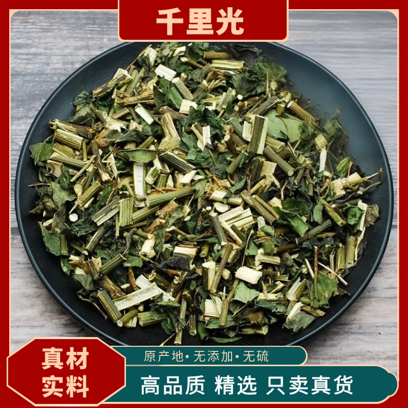 千里光中草药材九里明黄花鬼针草母九岭光千里光小孩洗澡泡澡