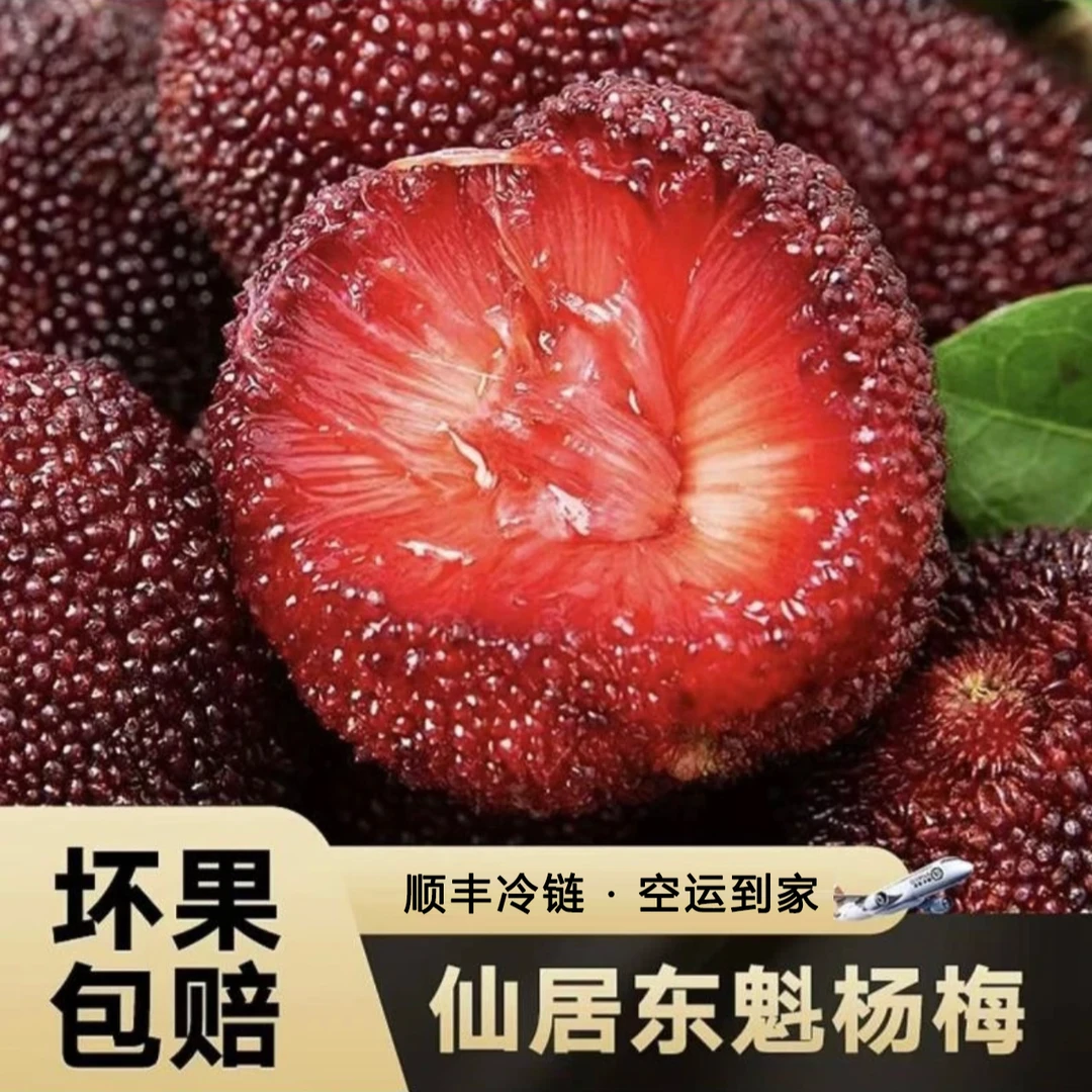【顺丰包邮】9A大果买一送一正宗仙居东魁杨梅现摘现发颗粒礼盒包装浙江省