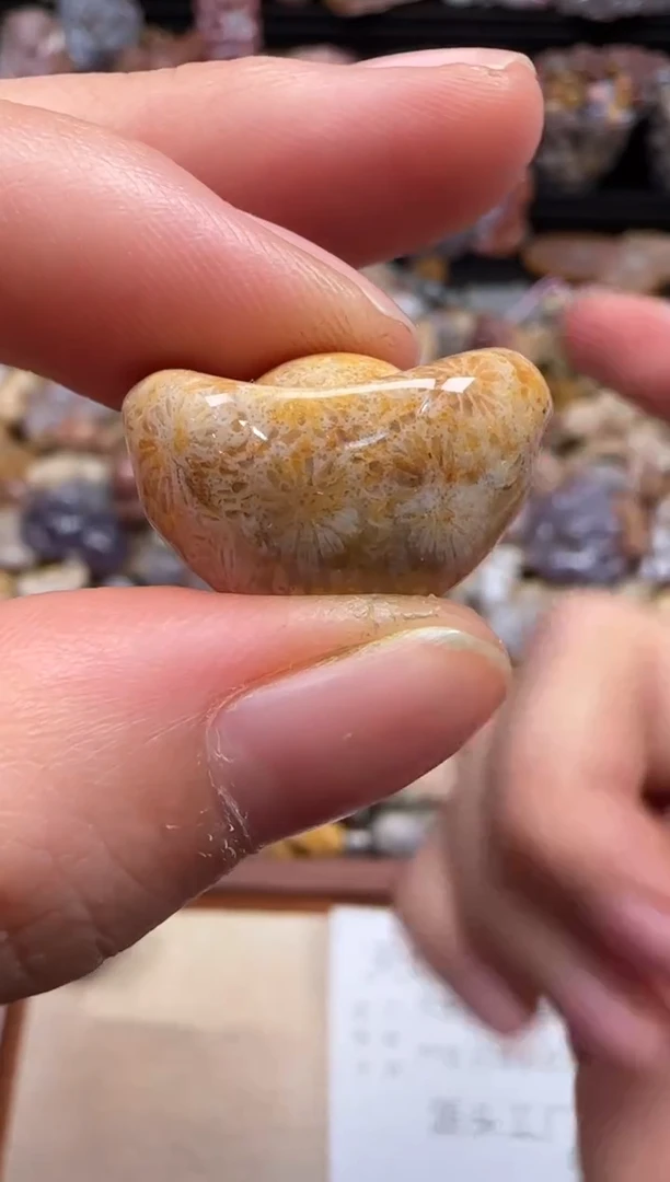 【闪购商品】硅化珊瑚（珊瑚玉）颈饰未镶嵌610