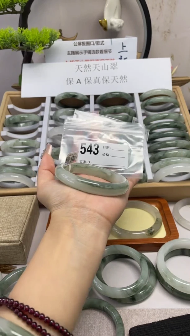 石英质玉（天山翠）手镯未镶嵌543