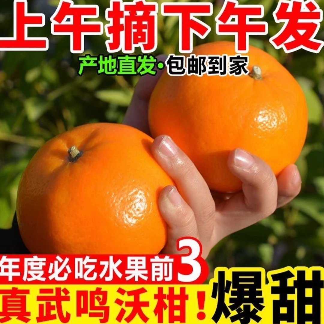 【广西武鸣沃柑】当季新鲜水果皮薄多汁香甜柑橘(小沈)