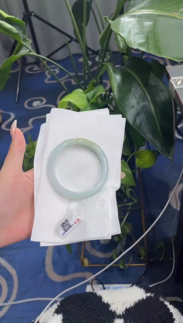 未镶嵌手镯翡翠8252*****