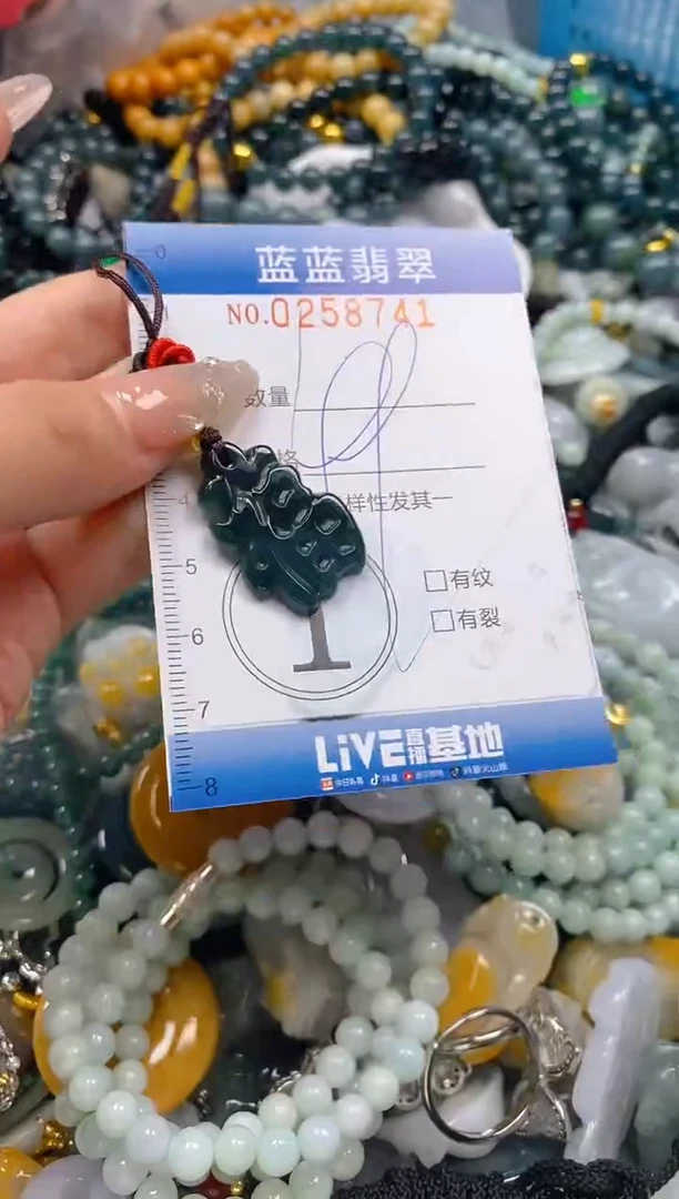 翡翠未镶嵌颈饰闪购0258741