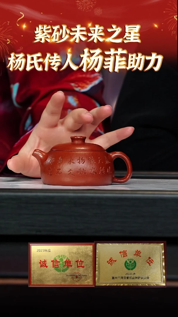 【闪购商品】紫砂茶壶30 杨菲老师专场  杨氏朱泥