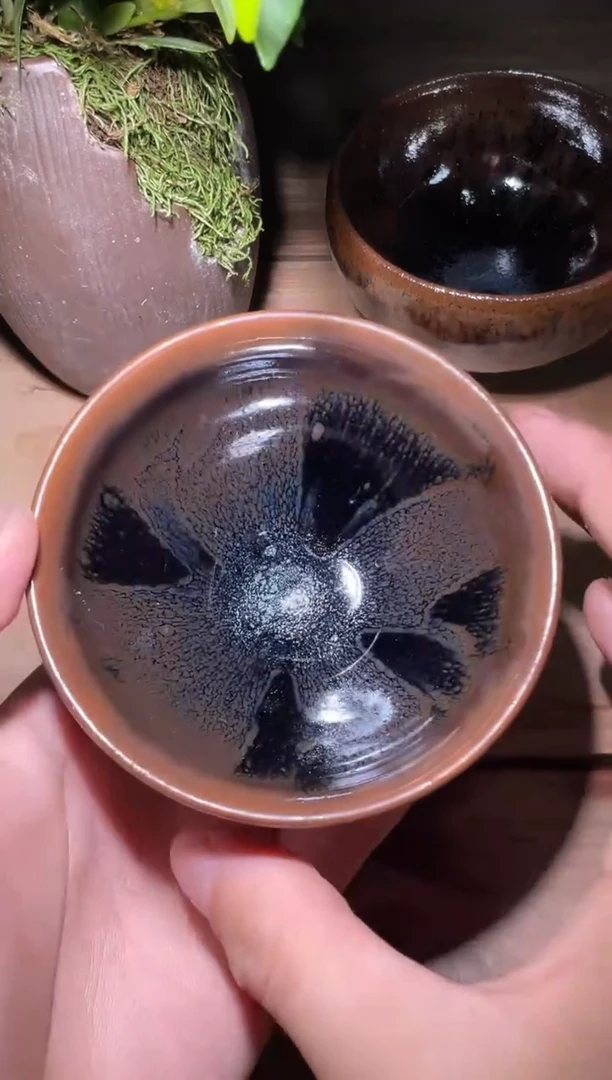 茶盏老木头精选柴烧454