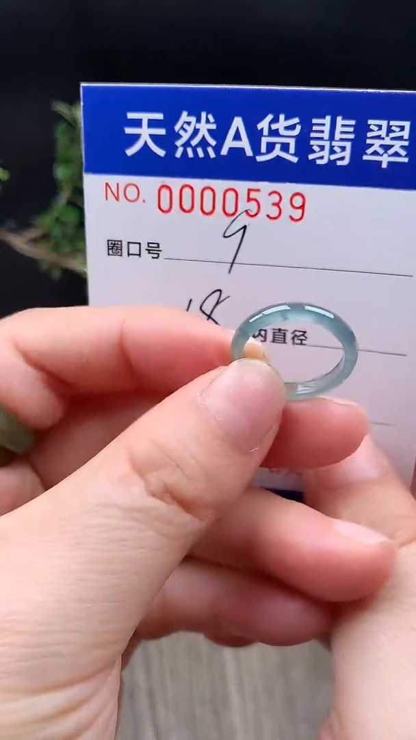 未镶嵌戒指翡翠9#