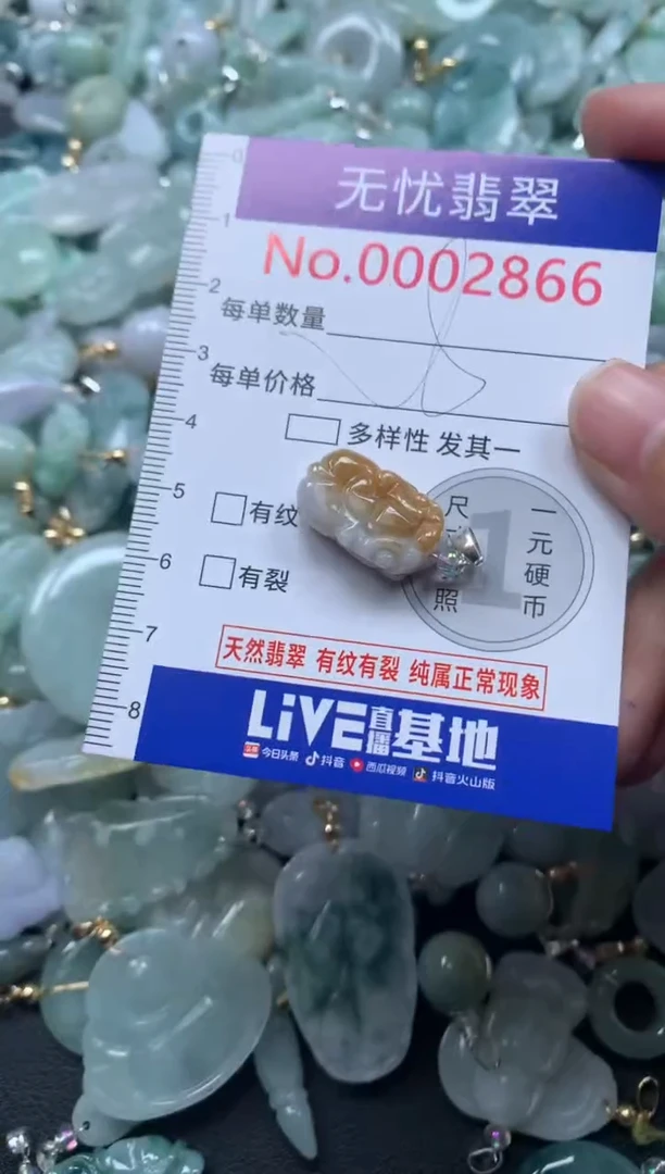 颈饰未镶嵌翡翠2866