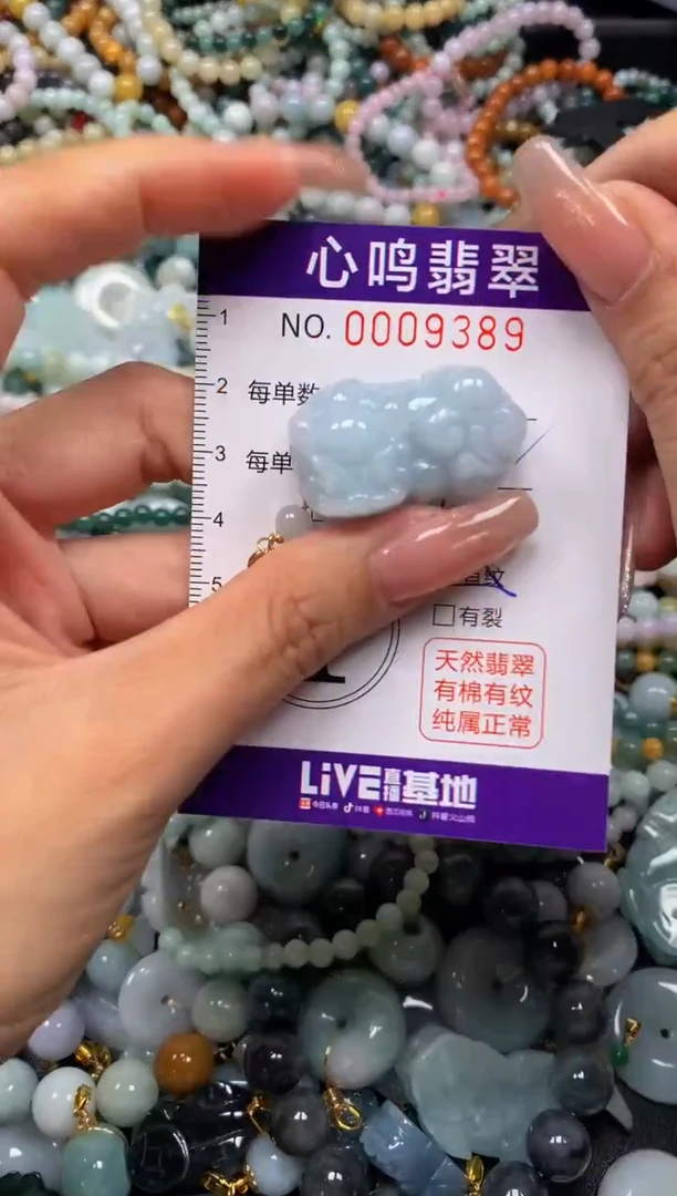 翡翠未镶嵌颈饰闪购009389