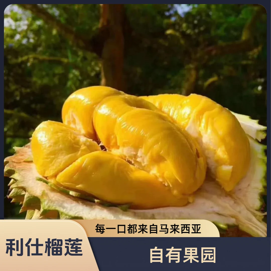 双十二2粒装 猫山王D197 液氮马来西亚树熟 贵阳榴莲同城配送/核大核小/一果一重/当月果猫山王马来西亚